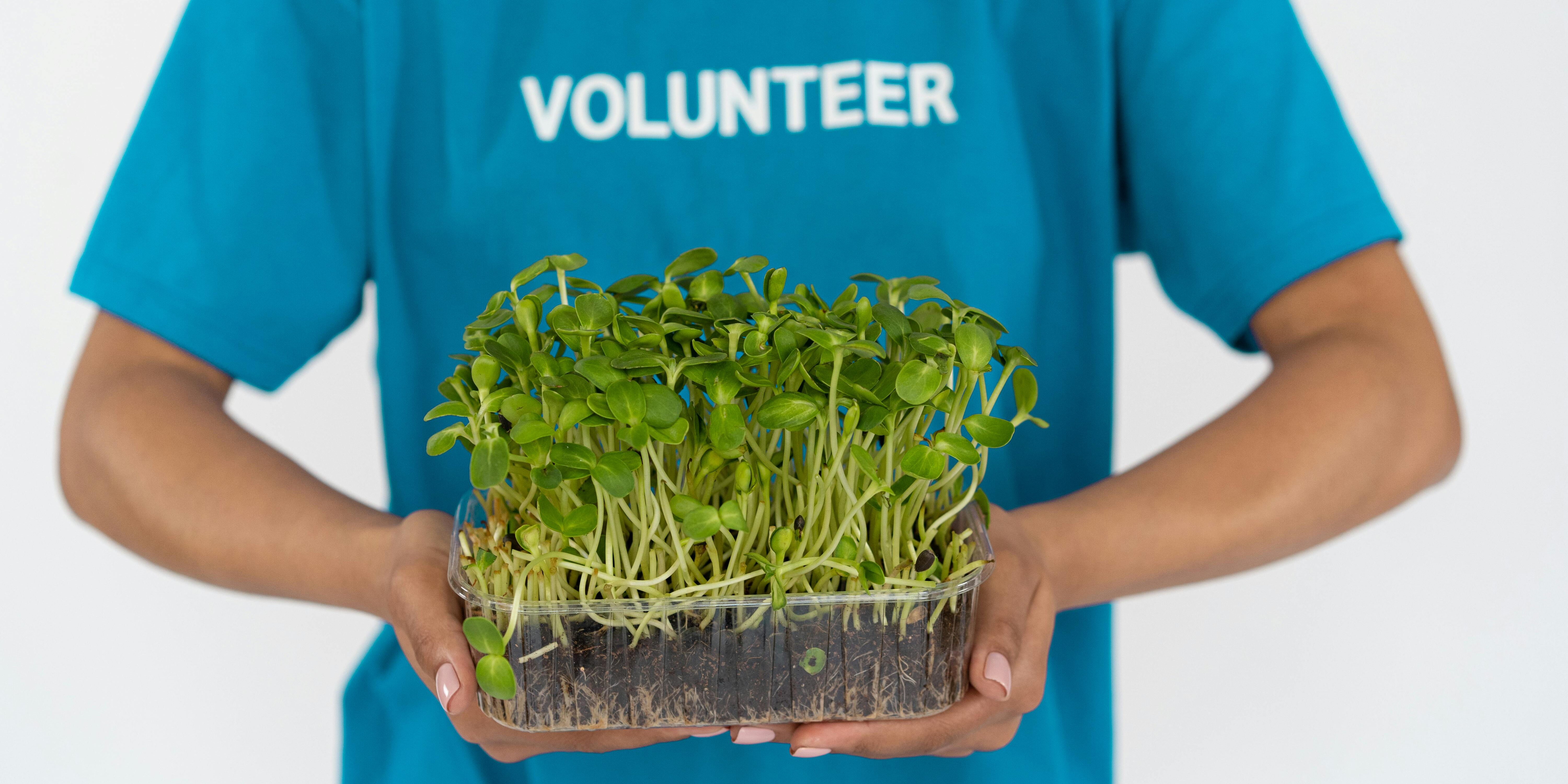 volunteer
